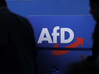 Nemecká strana AfD sa