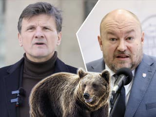 Hlinov trik proti medveďom