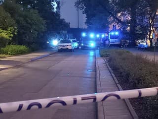 Muž vyzbrojený sekerou zabil