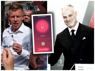 ZDESENIE z uniknutej nahrávky