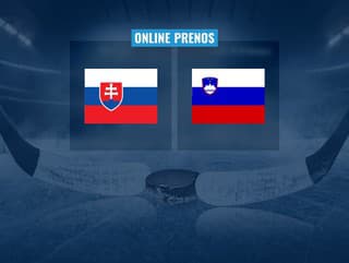 MS v hokeji: Slovensko