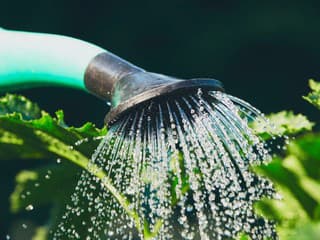 Aký je najlepší čas