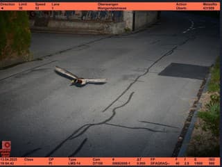 Radar zachytil rýchlu kačku.