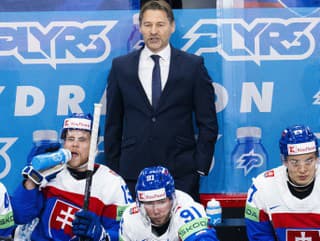 Na snímke tréner slovenske