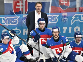 Na snímke tréner slovenskej