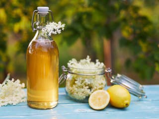 Domáci bazový sirup: 7