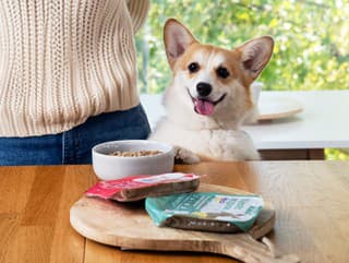 Ochutnali by ste krmivo