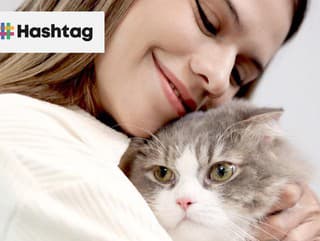 Mačky s tebou hovoria