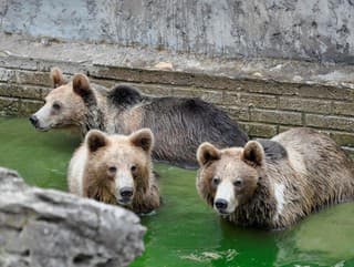 Bratislavská ZOO opäť OTVÁRA