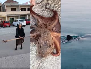 VIDEO roka: Chorvátska starenka