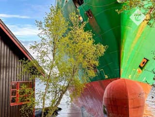 kontajnerová loď v záhrade