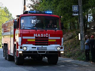 Pri požiari lesného porastu