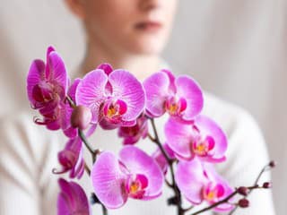 Odborníci na feng šuej