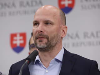 Novela ústavy a problémy