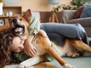 KVÍZ Sú tieto tvrdenia