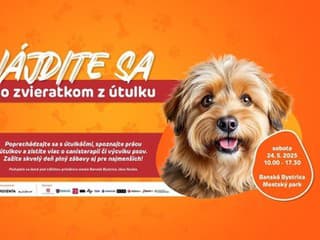 Z ulice do pelieška