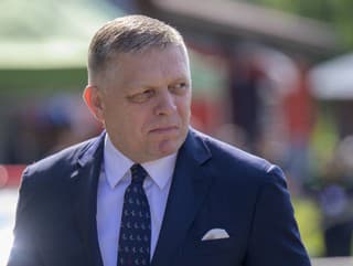 Žiadne politické témy nebránia