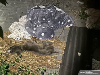 22-ročná žena nechala psa