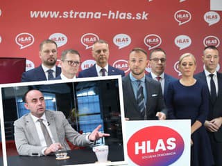 Politológ si posvietil na