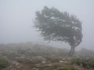 Meteorológovia vydali v TOMTO