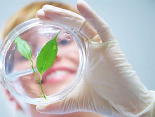 KVÍZ Čo si pamätáš