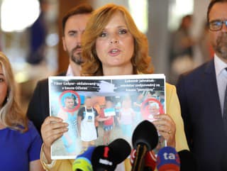 Veronika Remišová