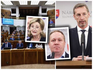 Ficov plán na ústavné