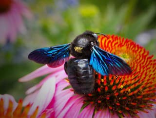 Vzbudzuje rešpekt veľkosťou aj