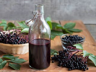 Domáci sirup z bazy