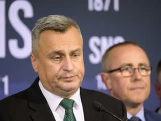 Predseda SNS a podpredseda