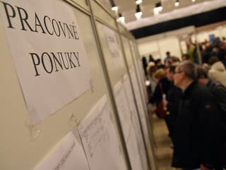 Slovenská ekonomika chradne: Problémy