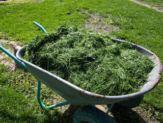 Máte veľa pokosenej trávy