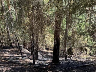 Lesný požiar pod vrchom