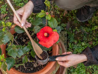 Je kávová usadenina v