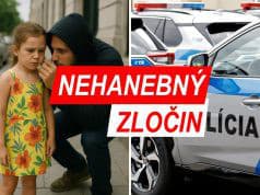 NEHANEBNÝ ZLOČIN Zlodeji okradli