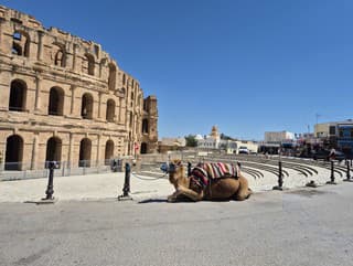 Krásna Angelika, Gladiátor, Hviezdne