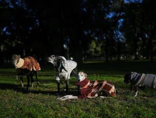 Zatiaľ čo Európu sužujú