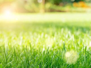 Ako predísť spáleniu TRÁVNIKA