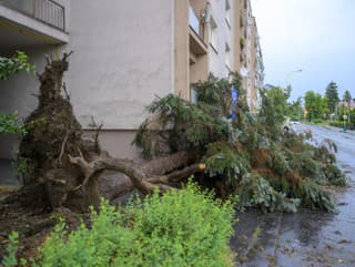 Na snímke čiastočne poškodená