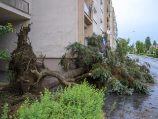 Na snímke čiastočne poškodená