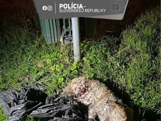 Polícia obvinila muža z
