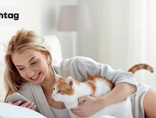 KVÍZ o mačkách: Dokážeš