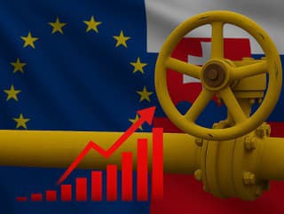 Slovensko tvrdo kritizuje stopku