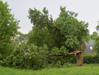 Mesto Prešov vyhlásilo po