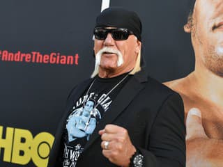 Hulk Hogan