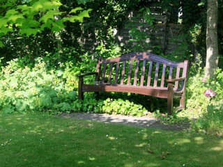 Ktoré stromy poskytnú najkrajší