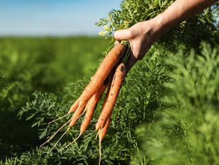 Nezmeškajte tohtoročnú sezónu slovenskej