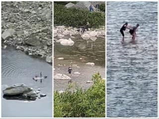 Neskutočná AROGANCIA! Turisti si