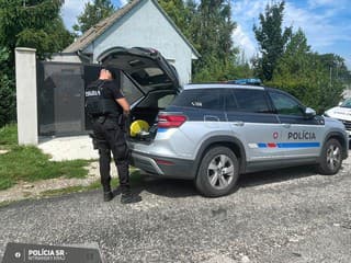 Posun v prípade streľby