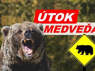 KRVAVÝ ÚTOK MEDVEĎA: Muža